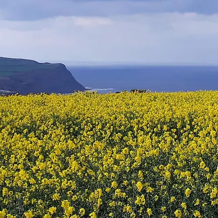 Dom wakacyjny The Miners Loftus