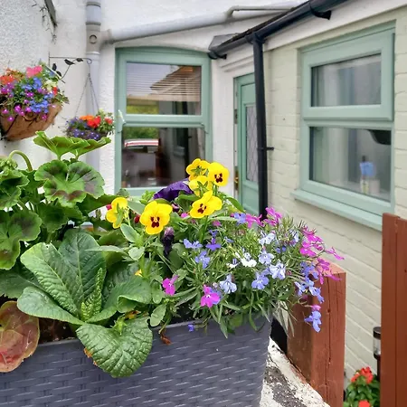 The Miners Dom wakacyjny Loftus