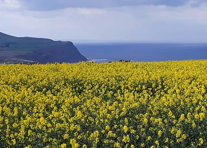 Ferienhaus The Miners Loftus